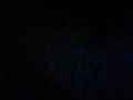 20151115_210229